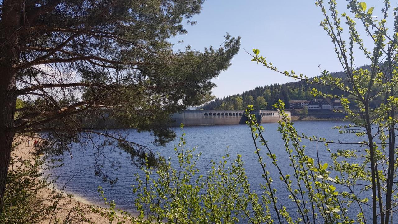 Ferienwohnung Vogelnest Im Schwarzwald Baiersbronn Eksteriør bilde