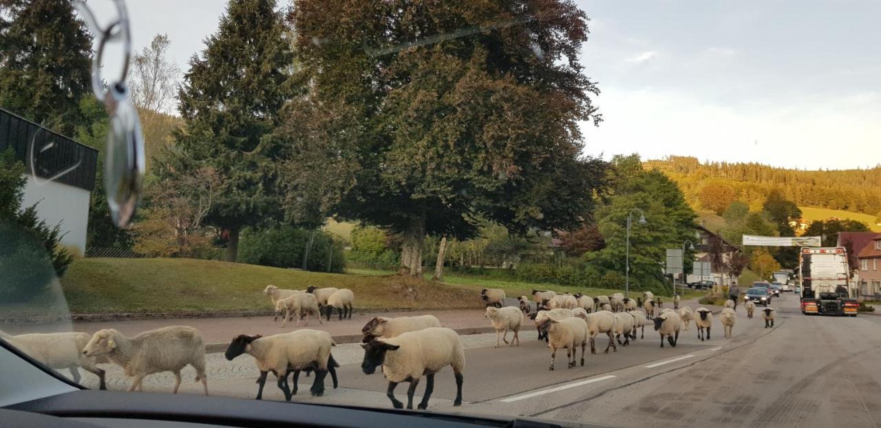 Ferienwohnung Vogelnest Im Schwarzwald Baiersbronn Eksteriør bilde