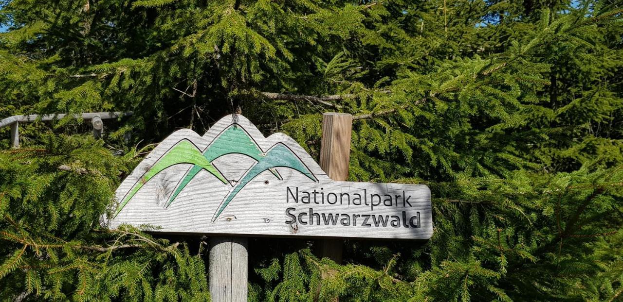 Ferienwohnung Vogelnest Im Schwarzwald Baiersbronn Eksteriør bilde