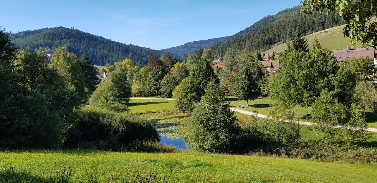 Ferienwohnung Vogelnest Im Schwarzwald Baiersbronn Eksteriør bilde