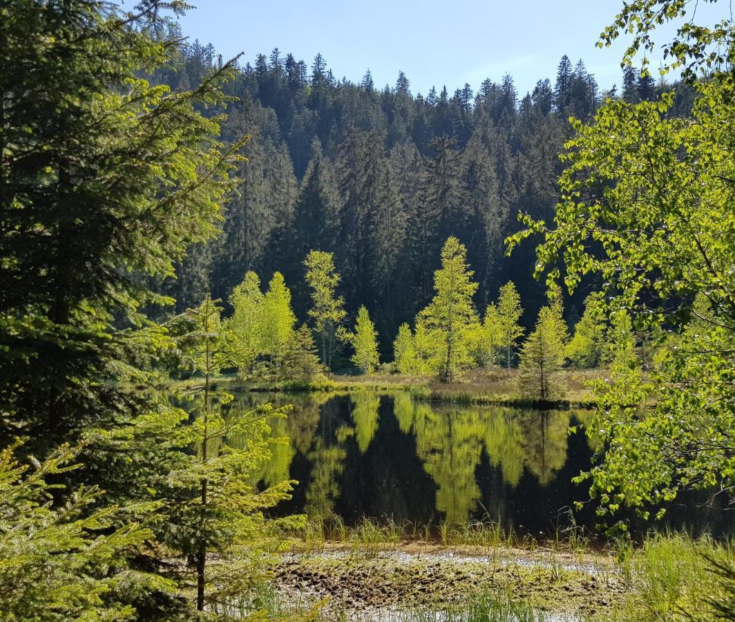 Ferienwohnung Vogelnest Im Schwarzwald Baiersbronn Eksteriør bilde