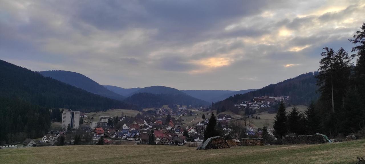 Ferienwohnung Vogelnest Im Schwarzwald Baiersbronn Eksteriør bilde