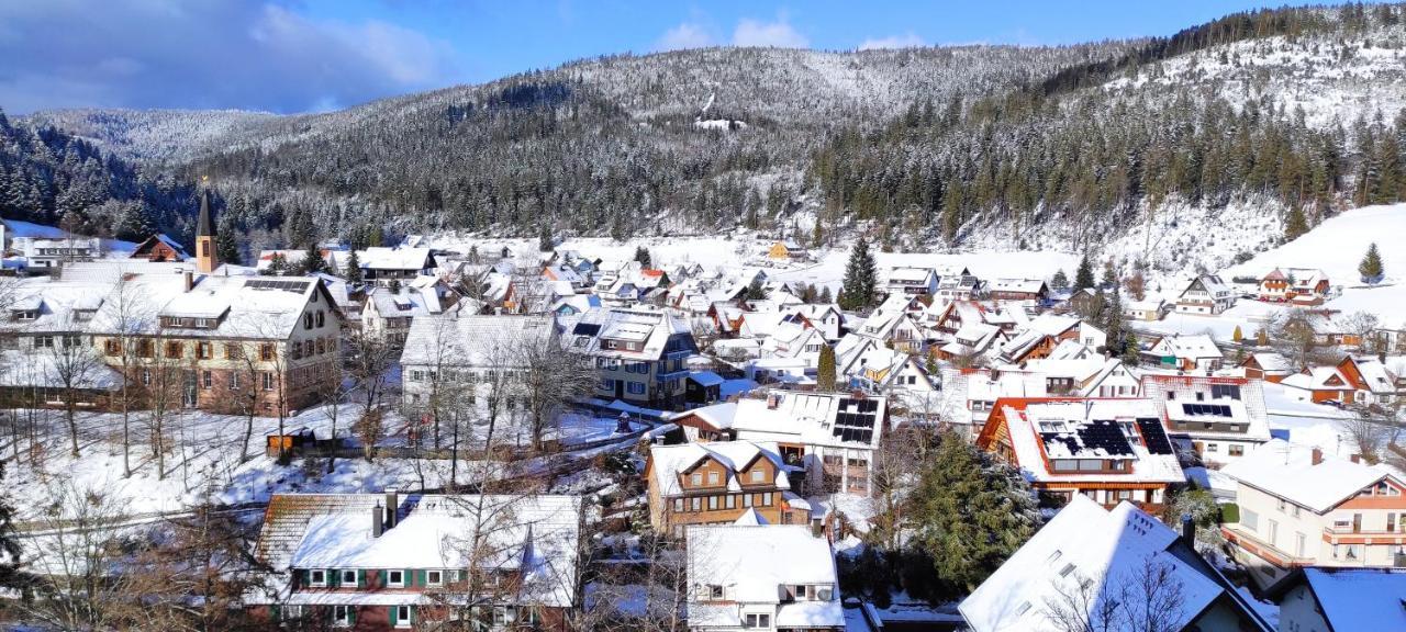 Ferienwohnung Vogelnest Im Schwarzwald Baiersbronn Eksteriør bilde