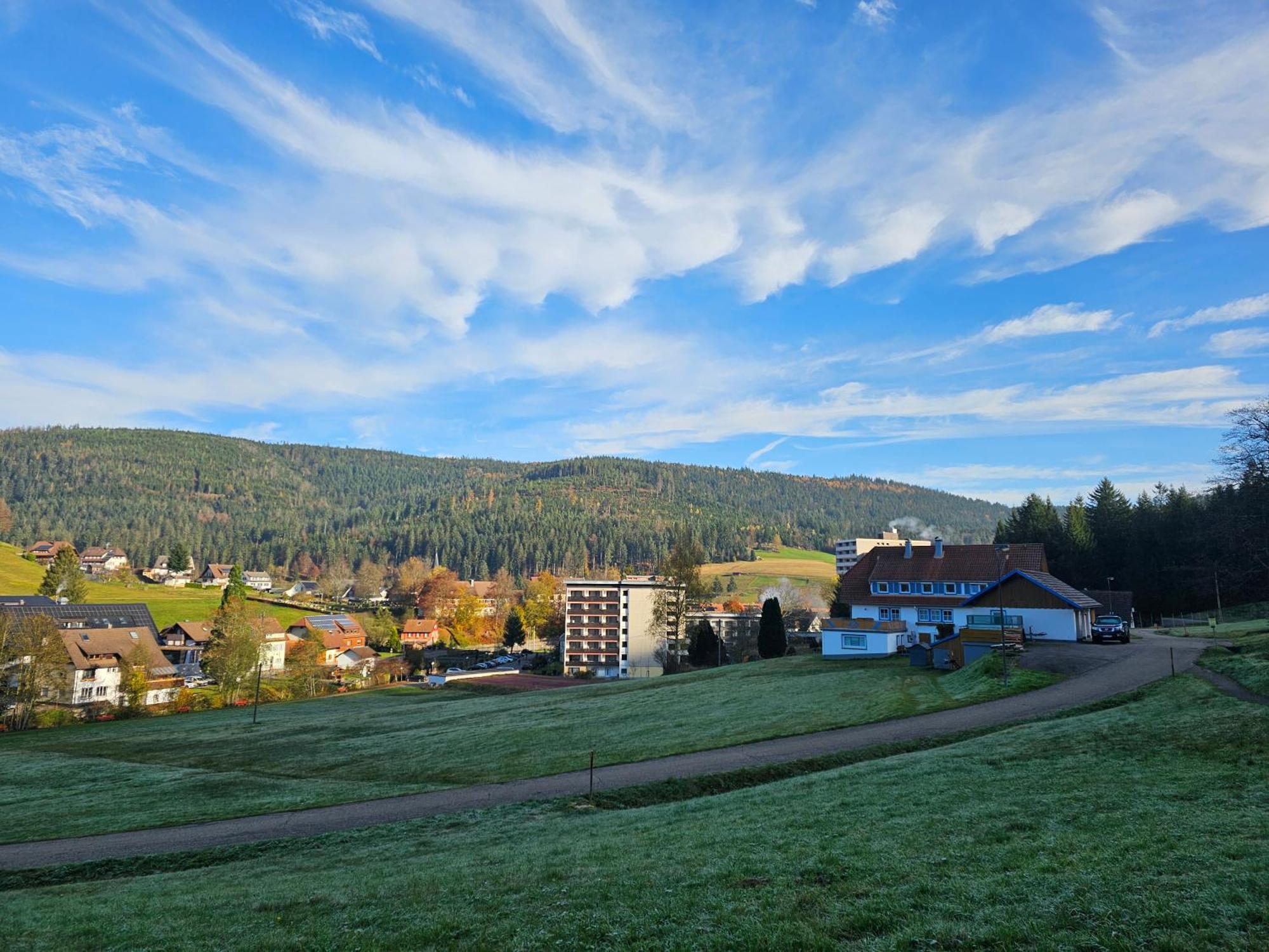 Ferienwohnung Vogelnest Im Schwarzwald Baiersbronn Eksteriør bilde